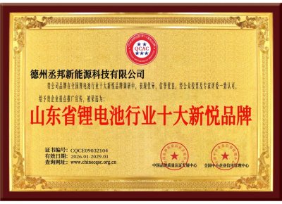 山东省锂电池行业十大新锐品牌