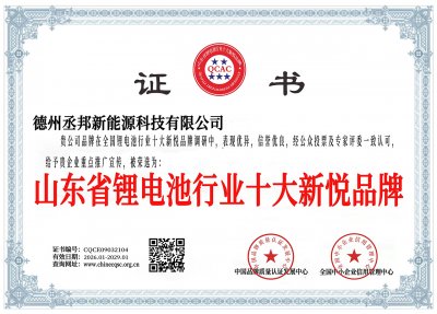 山东省锂电池行业十大新锐品牌