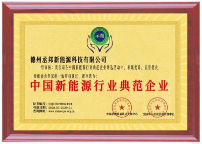 中国新能源行业典范企业